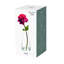 York Clear Vase-112950890