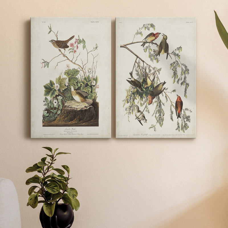 Toile tendue avec châssis PL199 Lincoln Finch - prêt à accrocher, H 27 po x l 16 po x P 1 po