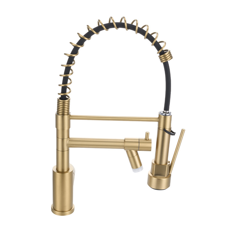 Belfry Kitchen Pull Out Kitchen Faucet, Gold
