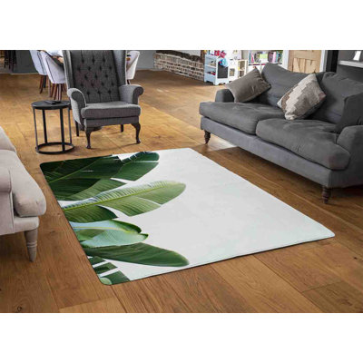 Miyoko Area Rug