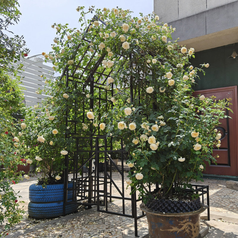 Arche de jardin arche de jardin