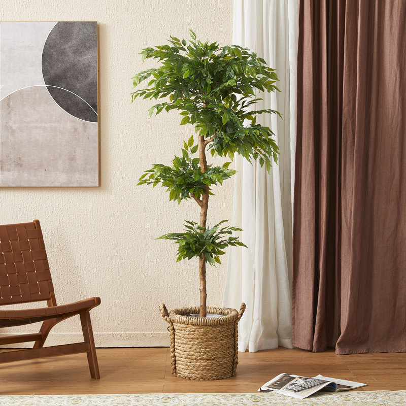 Amee 61" H Creative Shaped Faux Ficus Tree in Pot