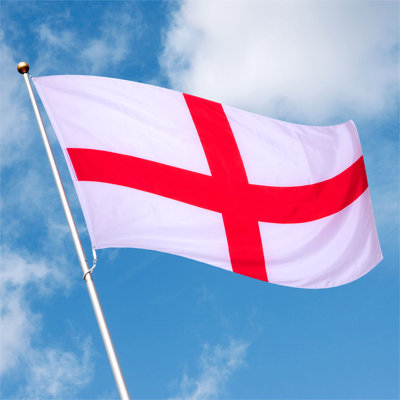 Double Sided 24cm H x 15cm W Polyester House Flag