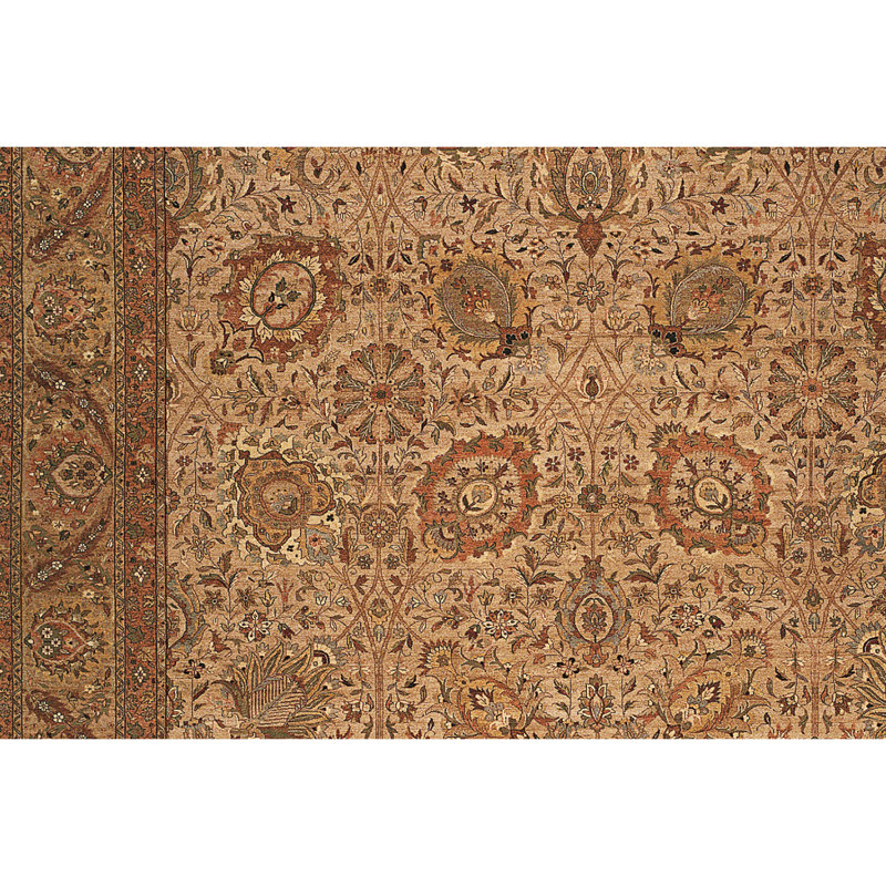Wool Oriental Area Rug in Gold