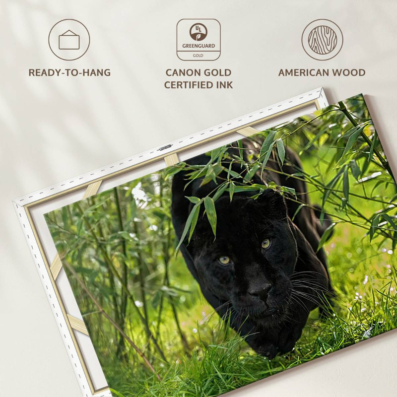 Brampt Lurking Black Jaguar, 20" H x 30" W