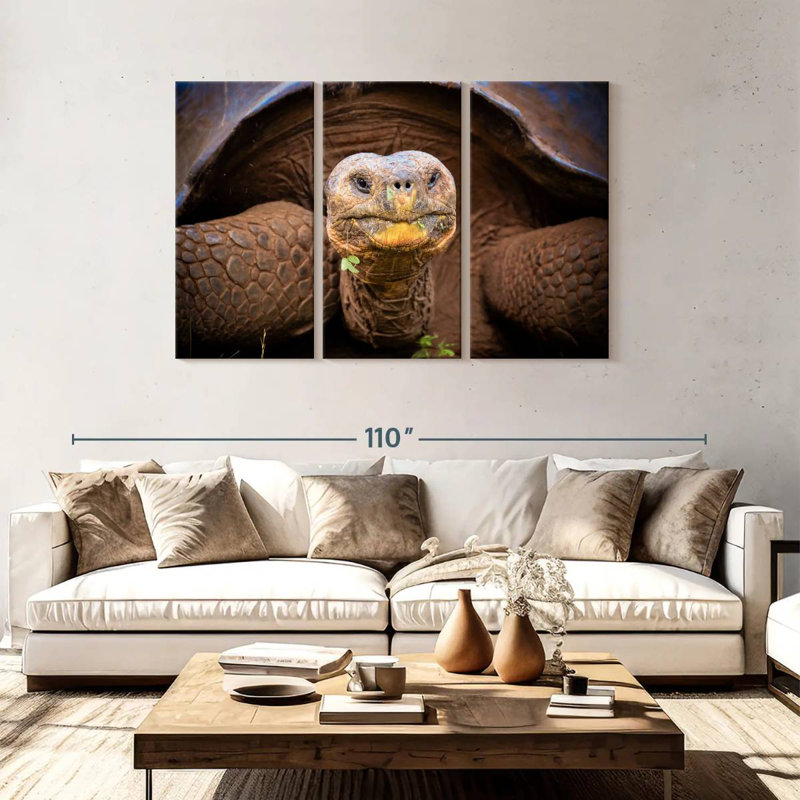 Brampt Galapagos Tortoise, 48" H x 74" W