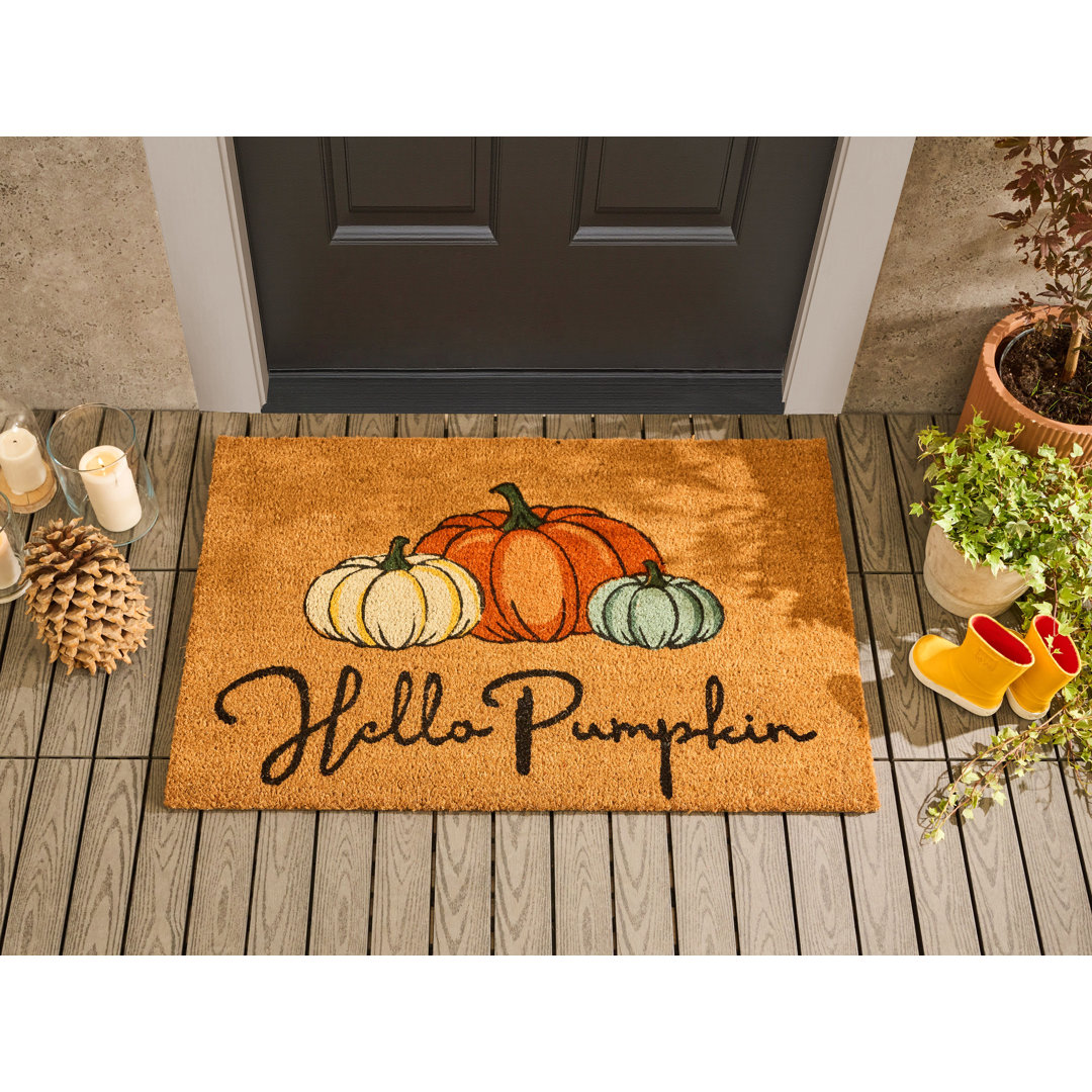 Non-Slip Indoor / Outdoor Doormat