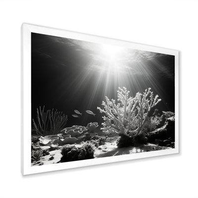 «Black and White Coral Artistic Ocean Ballet I», reproduction sur toile