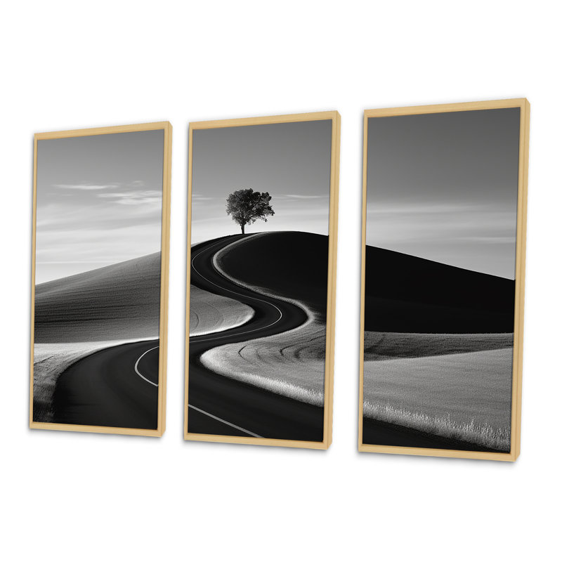 Photographie d'art en noir et blanc sur route II, H 28 po x l 36 po x P 1 po, Cadre naturel flottant