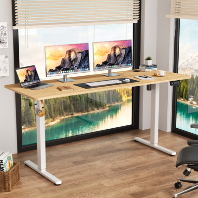 Oishee Electric Adjustable Standing Desk