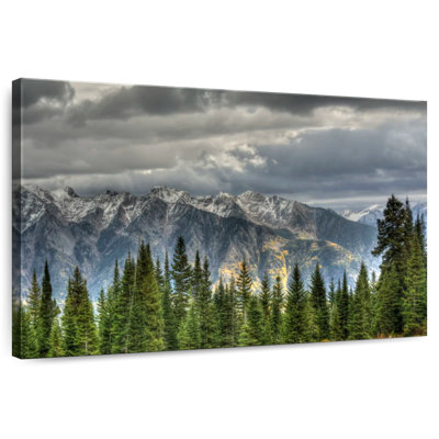 Alvord San Juan Mountains Pine Forest