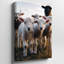 Reproduction d'art sur toile, "Gros plan sur plusieurs adorables agneaux"-2143640056