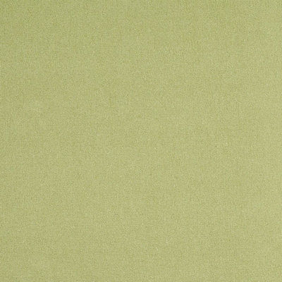 Albert Performance Cotton Fabric