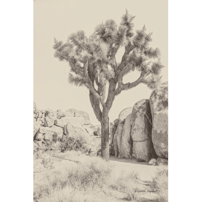 Joshua Tree IV Neutral by Elizabeth Urquhart - Wrapped Canvas Painting