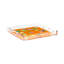 Winter in Florida Acrylic Square Decorative Tray-1315082043-1288677010