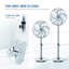 NETTA 16″ Chrome Metal Pedestal Floor Fan with 5 Blades, 3 Speeds & Oscillation, Adjustable Height, Quiet 50W Operation