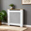Radiator Cover-120083784