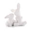 Salt & Pepper Shaker