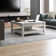 Weddel Basilico Coffee Table with Storage