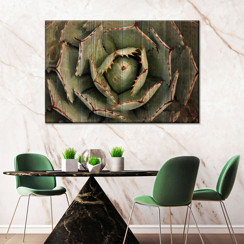 «Wooden Succulents», reproduction sur toile, H 24 po x l 36 po x P 1,25 po