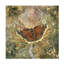 Art sur toile «bolle Stephanie Law»-105649248