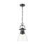 Petit luminaire suspendu Iftimie avec chaîne et verre transparent-2094349162-2094349160