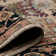 Antiquity Wool Oriental Area Rug in Brown