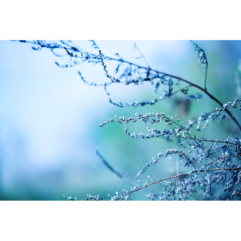 «Wildflower Abstract» par Jasmina007, H 12 po x l 18 po