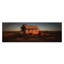 Andrew Brown - Print on Canvas