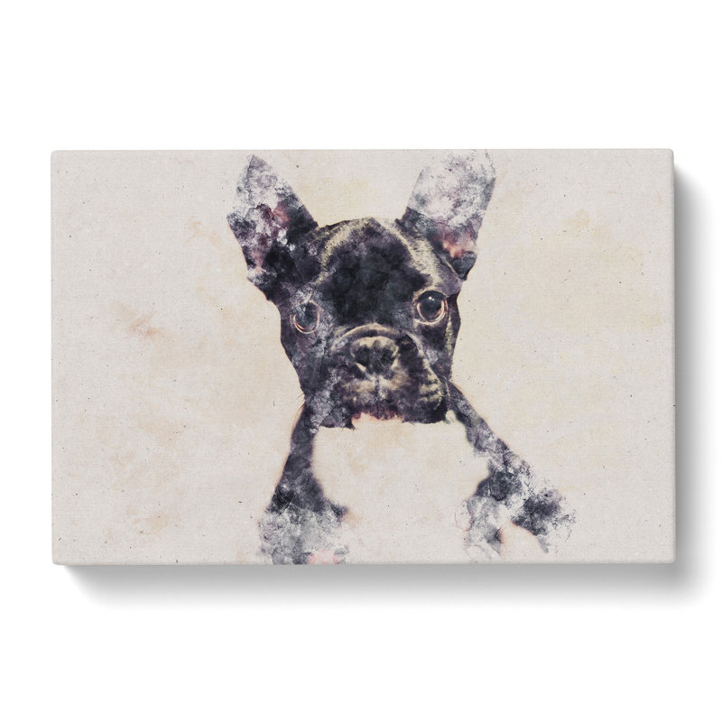 French Bulldog Vol.1 - Wrapped Canvas, 35cm H x 50cm W x 3cm D