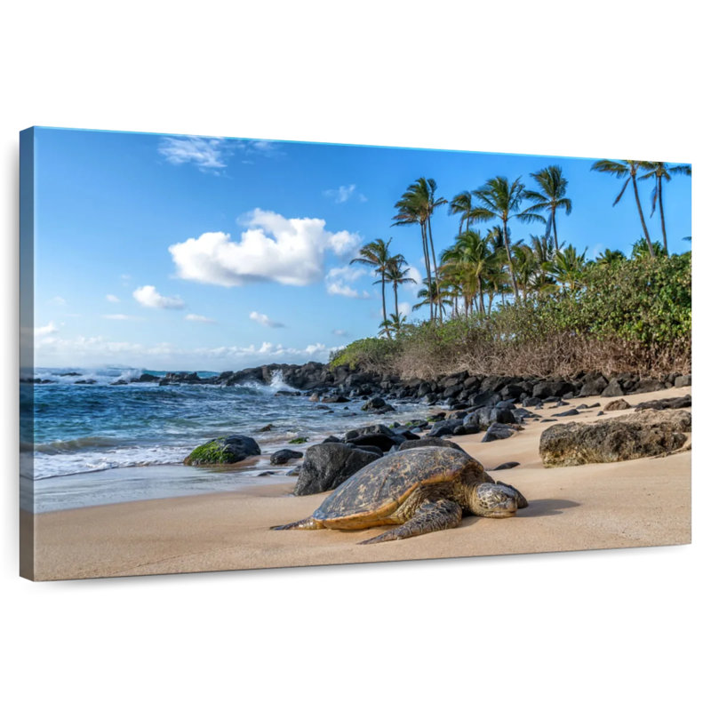 Tortue de mer Brampt Oahu Island, H 30 po x l 45 po