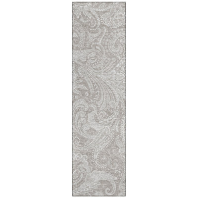 Cresley Paisley Indoor / Outdoor Rug