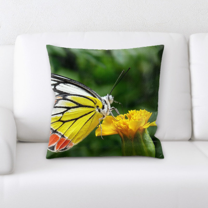 Coussin décoratif papillon