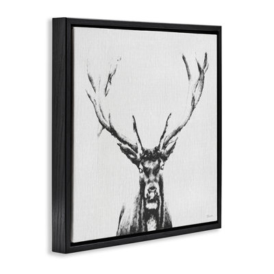 Stag Sketch in Floater Canvas Wall Art by Katrina Craven
