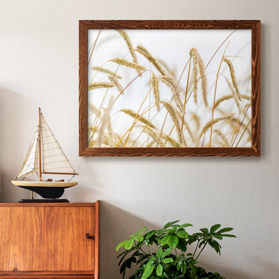 " Wheat "