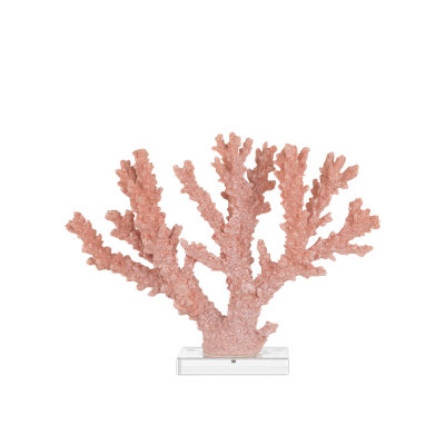 Feu corail grand