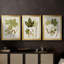 Antique Leaves IV - Toile tendue avec châssis sur mesure - 3 pièces-115872153-115872154