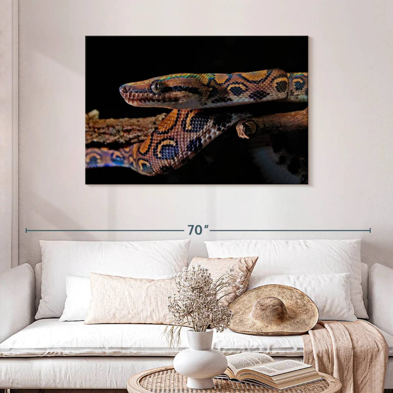 Brampt Rainbow Boa Snake, 30" H x 45" W