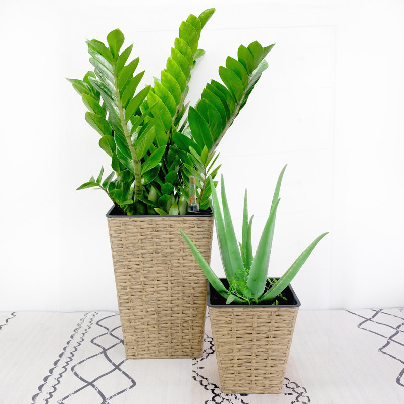 2-Pack Smart Self-watering Square Planter for Indoor and Outdoor - Hand Woven Wicker - Brown, Brown