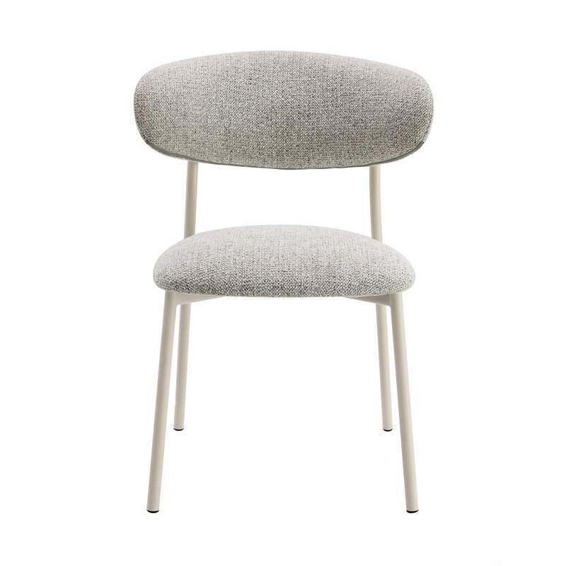 Fabric Finish Side Chair (Set Of 2)