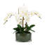 Arrangement floral orchidée en pot