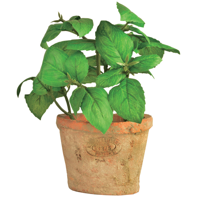 Artificial Basil in Aged Terracotta Pot, H15.4 x W8.6 x D8.6cm