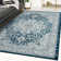 Dorsett Oriental Indoor Rug