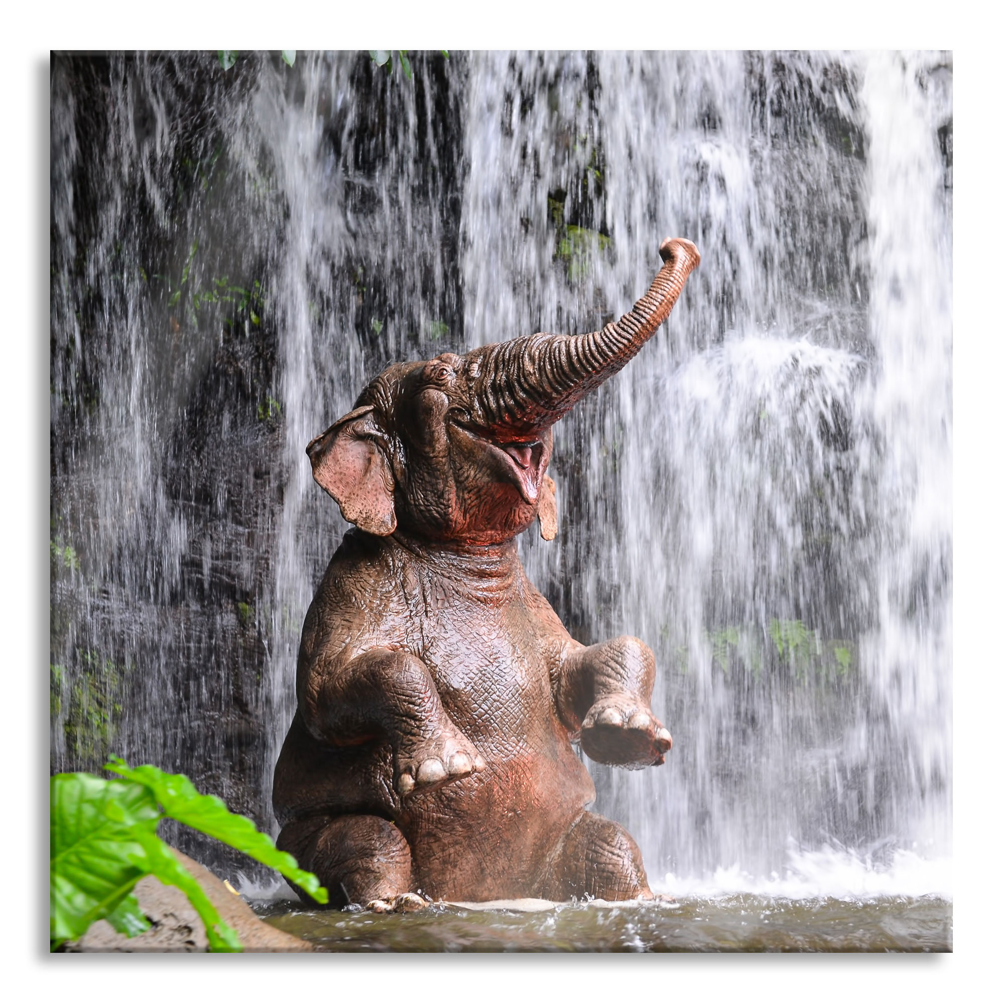 Ebern Designs Glasbild Babyelefant am Wasserfall