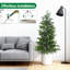 Plant-1889440168
