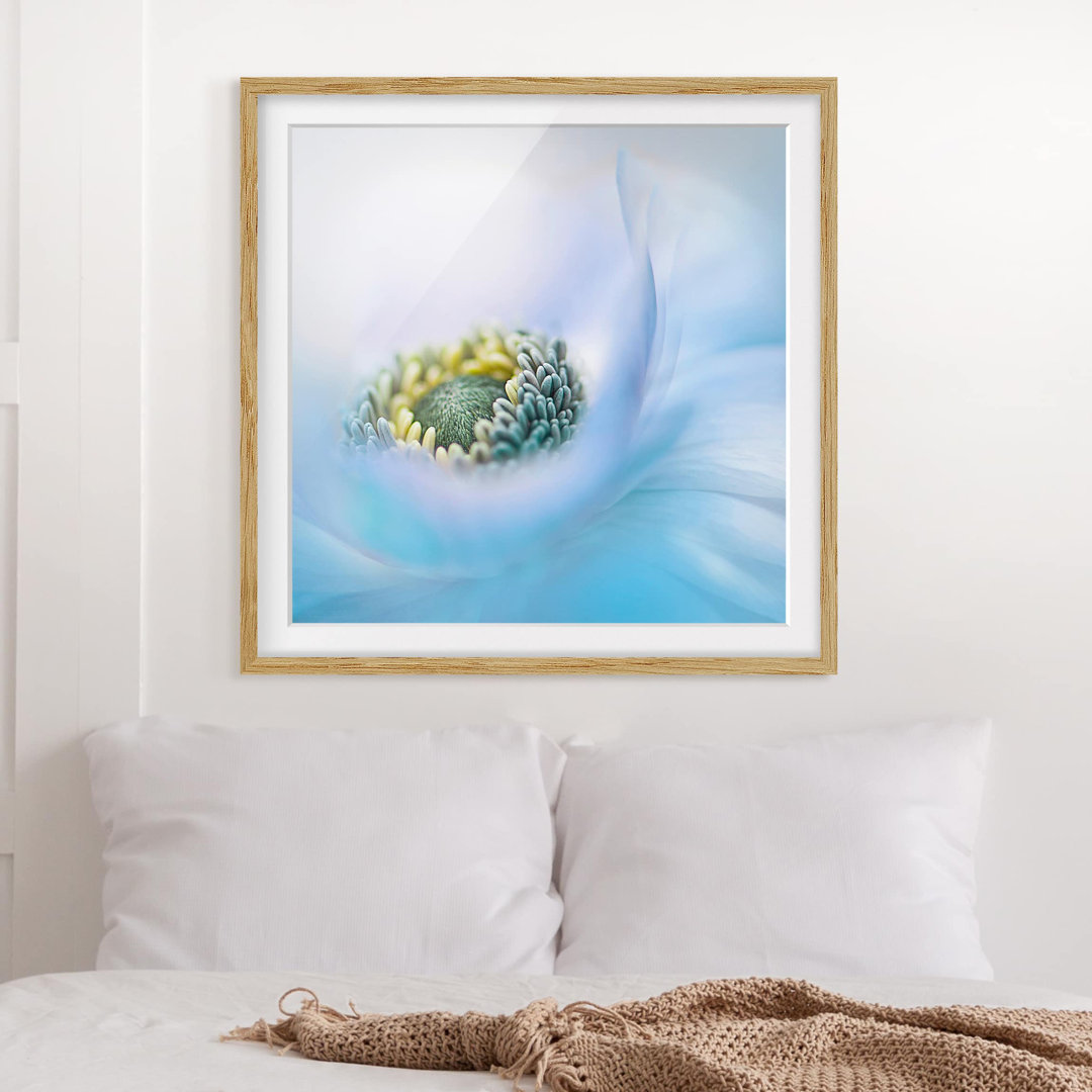 Gerahmtes Poster Anemone auf dem Fluss