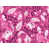 Pink/White selected