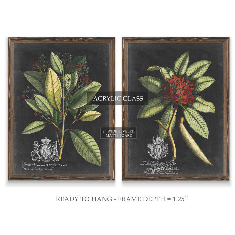 «Royal Foliage III» par Vincent Van Gogh - cadre photo 2 pièces, reproduction d'art, H 24 po x l 18 po x P 1,25 po