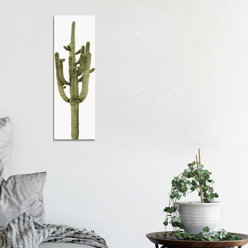 Saguaro Cactus II by Mia Jensen - Wrapped Canvas Panoramic Painting, 30.48 cm H x 91.44 cm W x 1.91 cm D