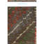 Jijim One-of-a-Kind 5'9" X 6'11" Area Rug